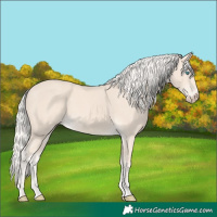 Horse Color:Cremello