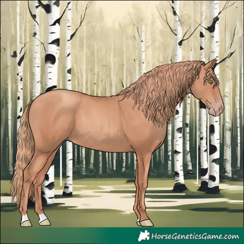 Horse Color:Gold Champagne Rabicano 