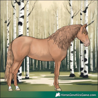 Horse Color:Gold Champagne Rabicano 