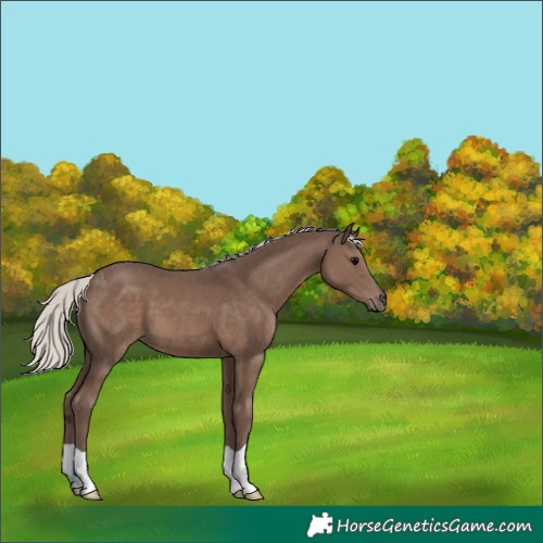 Horse Color:Silver Black 