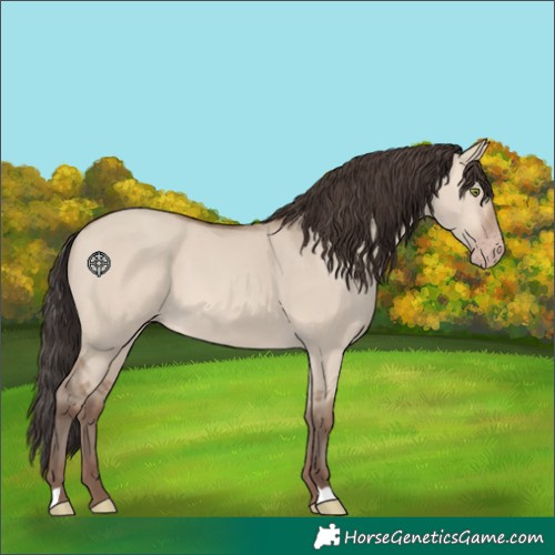 Horse Color:Sable Champagne Dun 