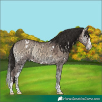 Horse Color:White Spotted Liver Red Dun Ice Onyx Splash Tobiano 