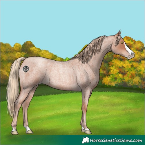 Horse Color:Unknown 
