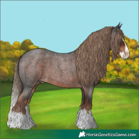 Horse Color:Liver Red Roan Splash