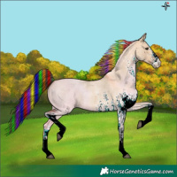 Horse Color:Painted White Spotted Bay Roan Dun