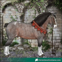 Horse Color:Liver Red Roan Splash Appaloosa