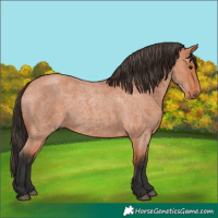 Horse Color:Bay Roan Rabicano 