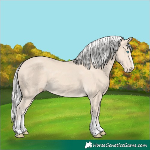 Horse Color:Silver Smoky Creme