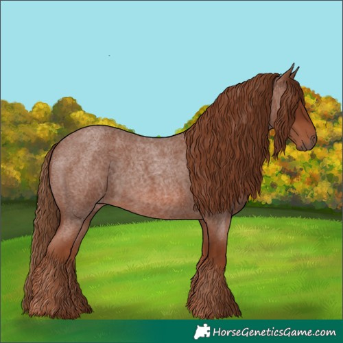 Horse Color:Red Roan 