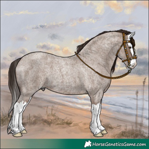 Horse Color:Liver Red Dun Roan Splash