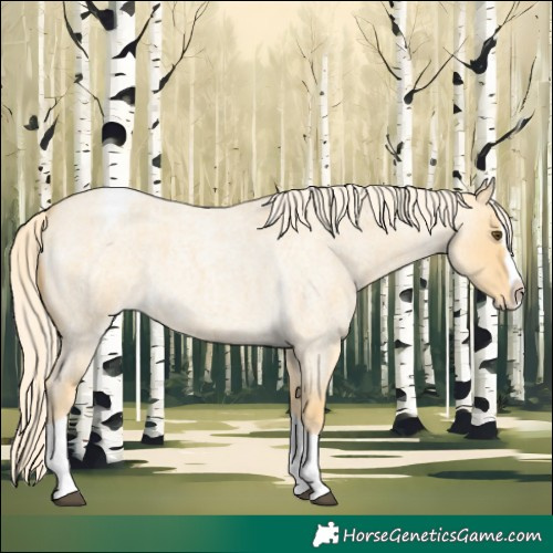 Horse Color:Palomino Roan Dun Splash Tobiano Appaloosa 