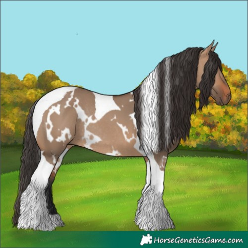 Horse Color:White Spotted Bay Dun Tobiano Rabicano