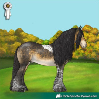 Horse Color:Buckskin Mushroom Tobiano 