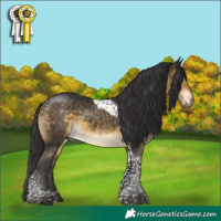 Horse Color:Buckskin Mushroom Tobiano 