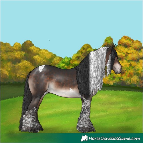 Horse Color:Bay Mushroom Tobiano