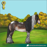 Horse Color:Bay Mushroom Tobiano