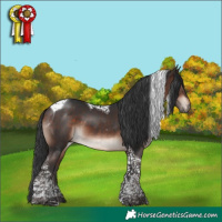 Horse Color:Bay Mushroom Tobiano 