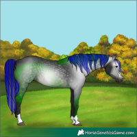 Horse Color:Gray Painted Brown 