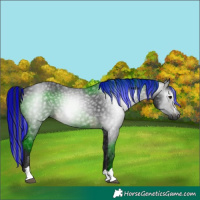 Horse Color:Gray Painted Brown 
