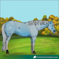 Horse Color:ERROR: UNKNOWN ANOMALY