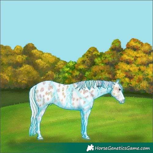 Horse Color:Nacre Thunderstruck Palomino Ice Sabino Near Leopard 