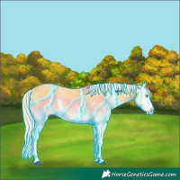 Horse Color:Thunderstruck Palomino Onyx Sabino Splash 