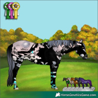 Horse Color:ERROR: UNKNOWN ANOMALY