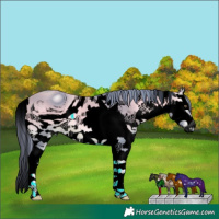 Horse Color:ERROR: UNKNOWN ANOMALY
