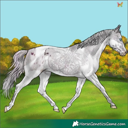 Horse Color:Plaid Midnight Silver Brown Splash Tobiano Varnish