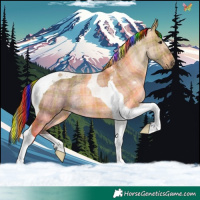 Horse Color:Painted Plaid Bay Dun Tobiano