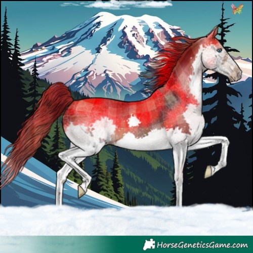 Horse Color:Plaid  Brown Splash 