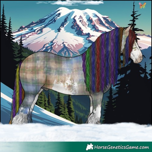 Horse Color:Painted Plaid  White Spotted Bay Dun 