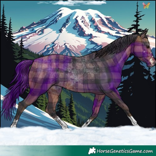 Horse Color:Plaid Brown