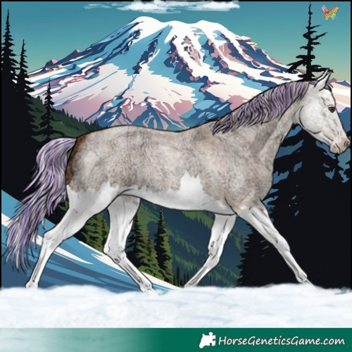 Horse Color:Painted Silver Bay Ice Roan Dun Splash