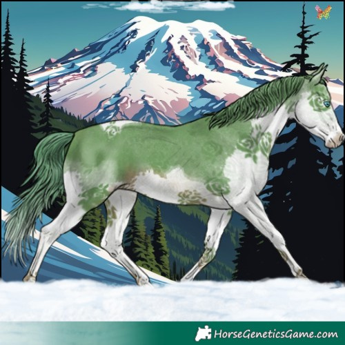 Horse Color:Watercolor Liver Chestnut Splash Tobiano 