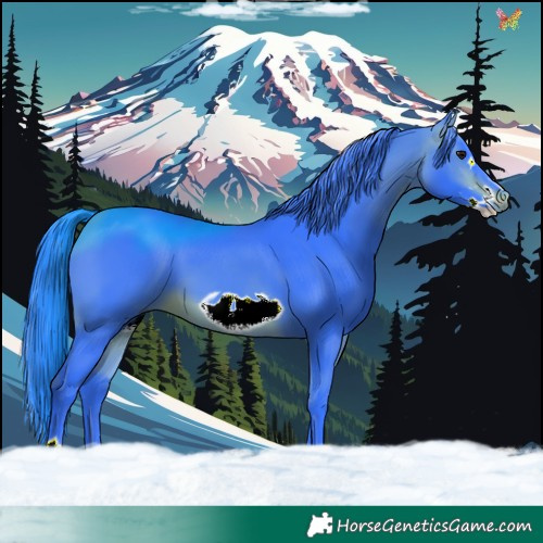 Horse Color:Watercolor Brown Frame 