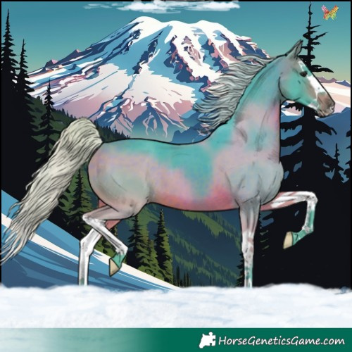 Horse Color:Watercolor Silver Brown Splash 
