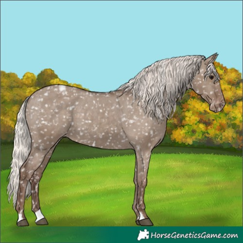 Horse Color:Silver Grullo Snowflake Varnish