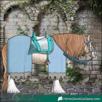 Horse Color:Sable Champagne Pearl Dun Blanket Rabicano and Gray Gold Champagne Pearl Dun Rabicano