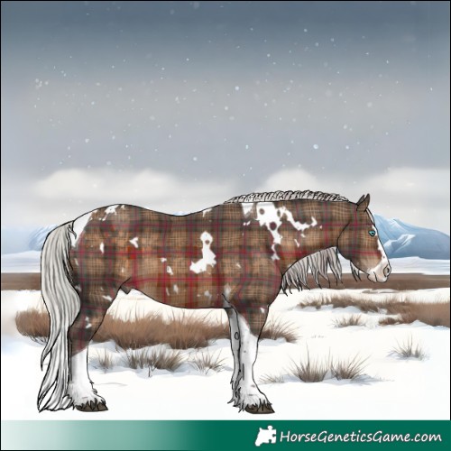 Horse Color:Plaid  White Spotted Silver Brown Splash Tobiano 