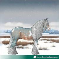 Horse Color:Watercolor Plaid White Spotted Silver Brown Splash Tobiano