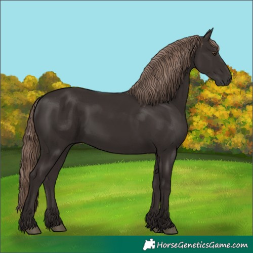 Horse Color:Liver Chestnut Rabicano 