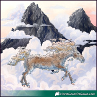 Horse Color:Gray Chestnut