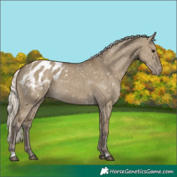 Horse Color:Silver Smoky Grullo Blanket 