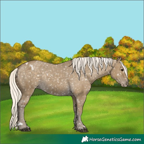 Horse Color:Silver Smoky Grullo Snowflake Varnish 