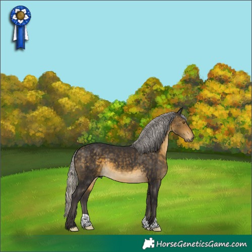 Horse Color:Silver Buckskin 