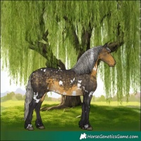 Horse Color:White Spotted Silver Buckskin