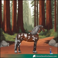 Horse Color:White Spotted Silver Brown 