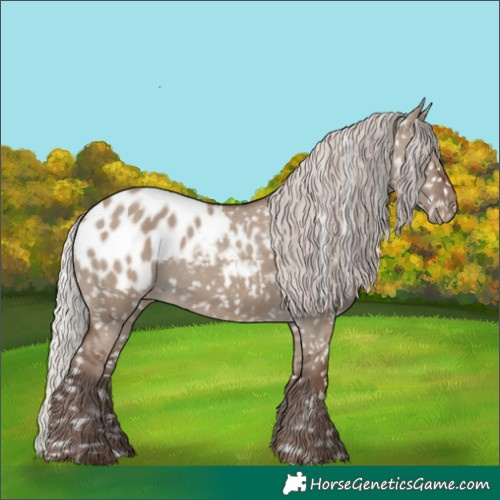 Horse Color:Silver Grullo Blanket 