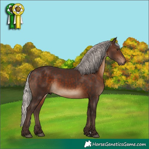 Horse Color:Silver Brown 